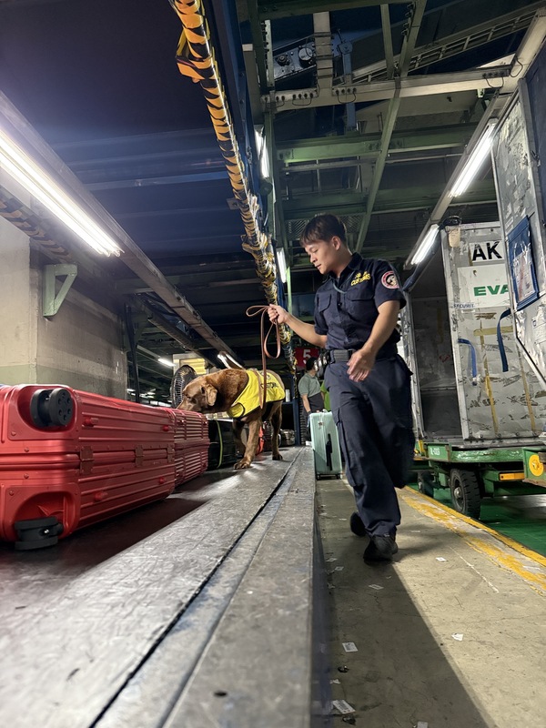 緝毒犬Rafa培訓過程