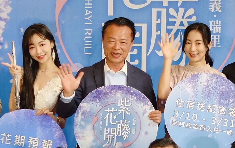 嘉縣瑞里紫藤花季登場　賞燈順遊山城花海