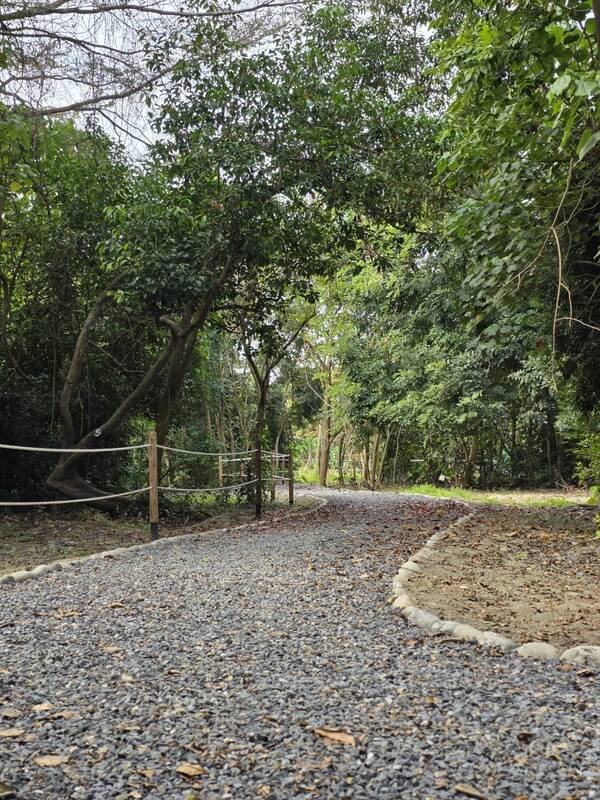 屏東萬丹森林公園15日啟用　潘若迪率千人跳有氧