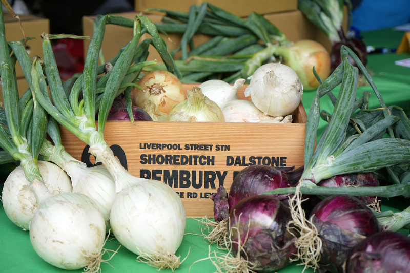 恆春洋蔥外銷日本　2026年首批封櫃啟航