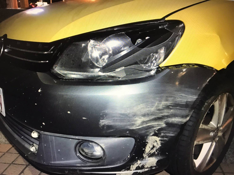 梅花鹿突衝出與車相撞釀車損 墾管處：可申請理賠