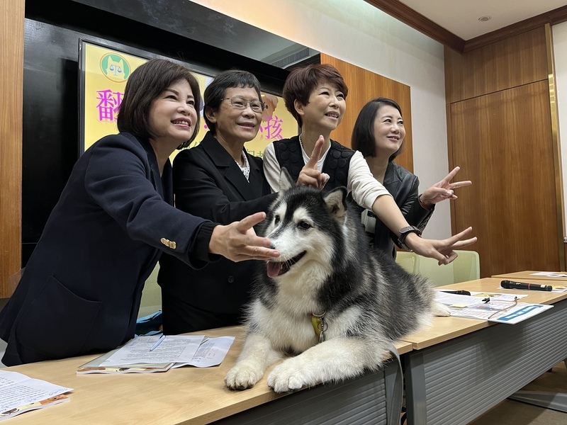 寵物公園城鄉差距大 動保團體盼公私協力推動