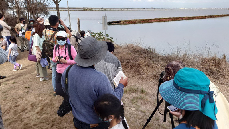 嘉義布袋濕地生態園區鳥況豐富 新春好遊賞