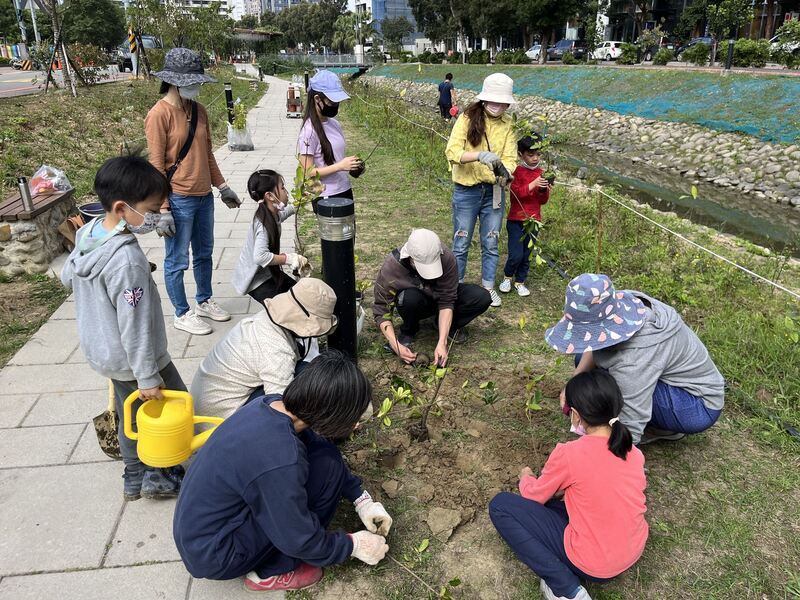 新竹縣東興圳種植百合球莖 預計夏天開花