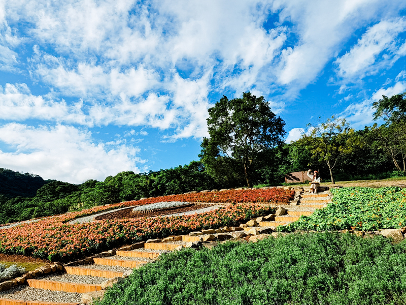 北投三層崎花海綻放 大冠鷲意象融入地景