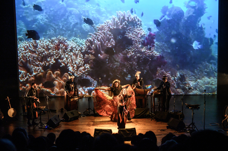 小島大歌國外音樂人訪台彷彿回家 讚台東海灘乾淨