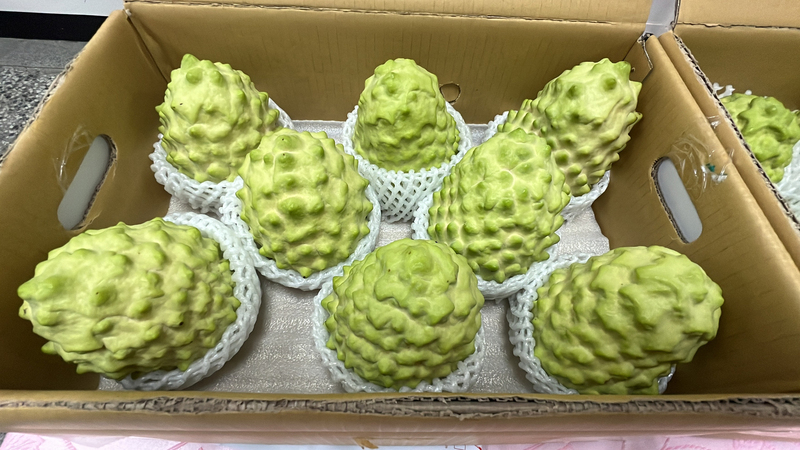 中國禁輸入遇春節提前、氣候異常 鳳梨釋迦價疲軟