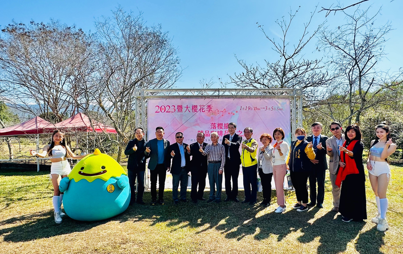 日月潭櫻花季2月浪漫登場 暨大九族伊達邵都可賞