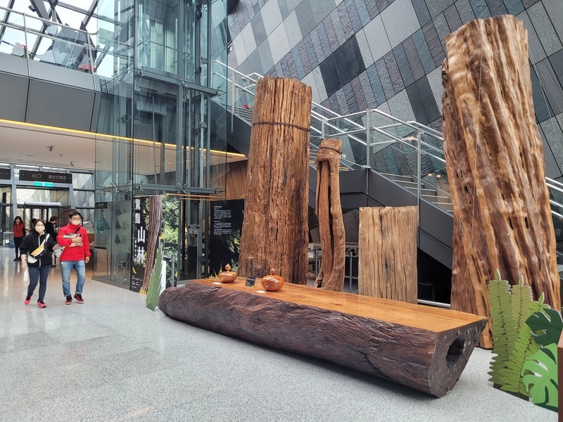 台灣巨木展蘭博登場 奇珍樹瘤宛如鬼斧神工