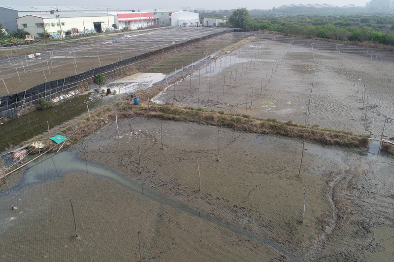 台南氣溫降 農漁畜產業加強防寒措施