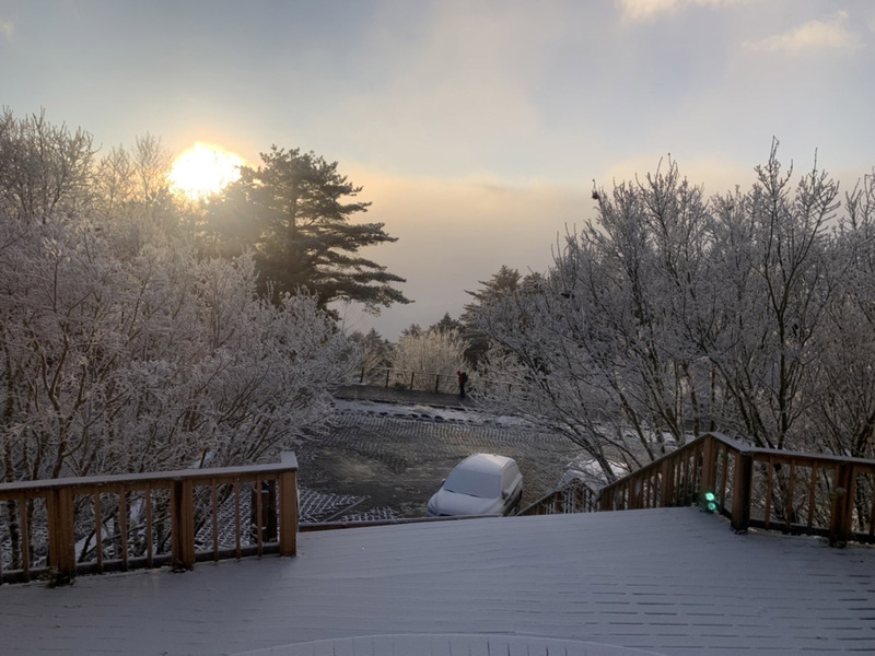 南橫向陽山區降瑞雪 宛若糖霜銀白世界