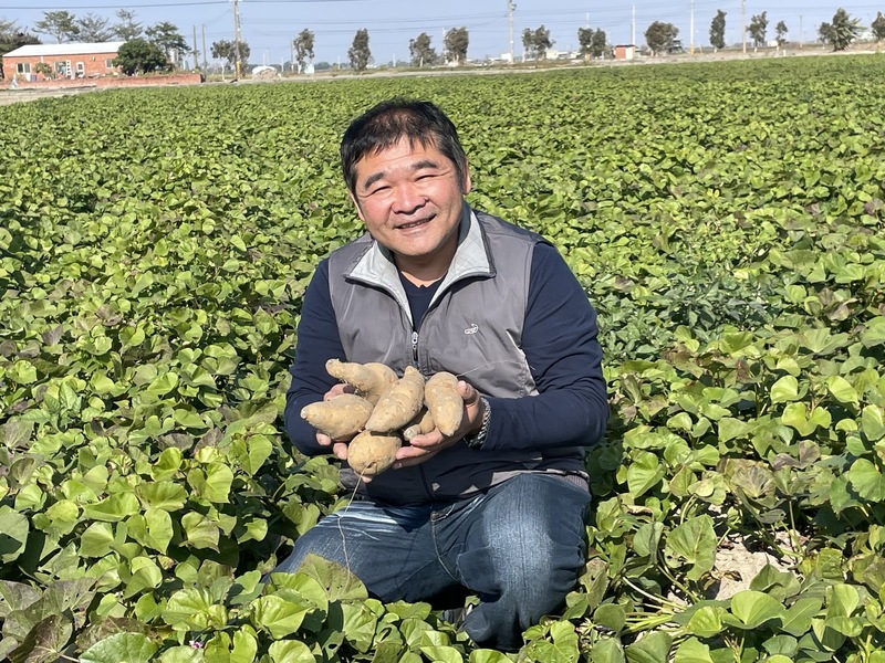 總舖師改行務農 打造地瓜王國榮獲全國模範農民