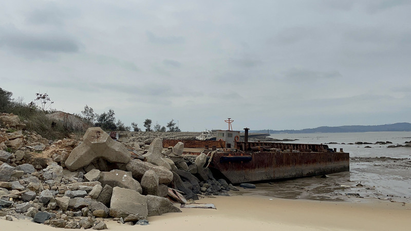 地方建設與生態角力 金門濕地衝擊不可逆