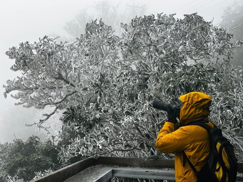 尖石宇老部落深夜飄雪 清晨露出銀白霧淞美景