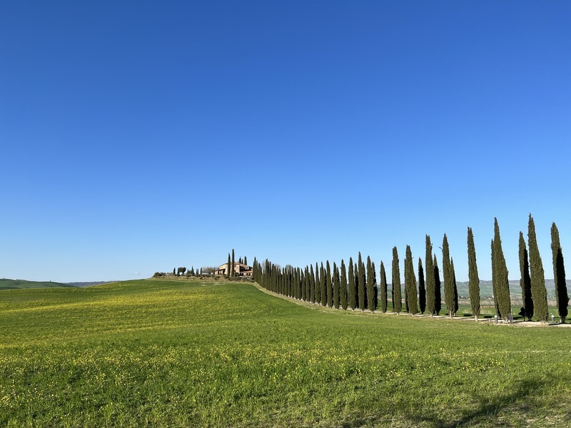 義大利婚禮旅遊業復甦 市場規模達近200億元