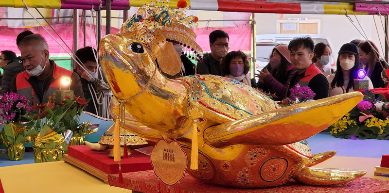 千萬黃金龜 澎湖元宵節最大亮點