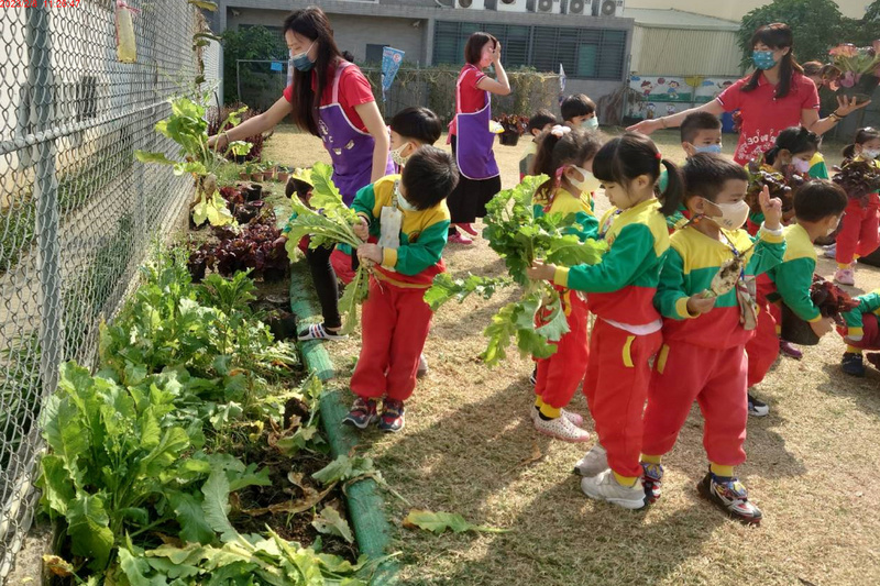 台南幼兒園響應家扶助學 小朋友摘自種蔬菜義賣