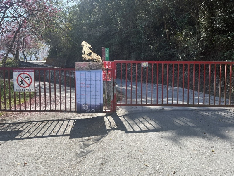 霧台阿禮部落24日前未開放 屏縣府籲賞櫻民眾勿擅闖