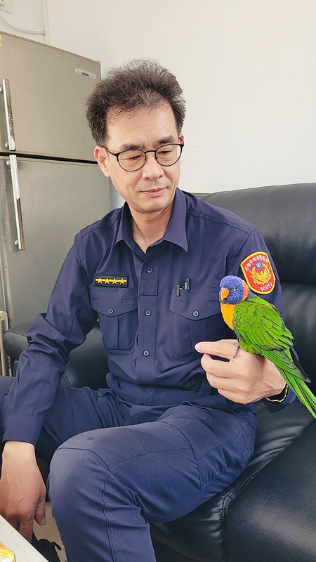 吸蜜鸚鵡站交警肩膀 派出所協尋終與飼主團聚