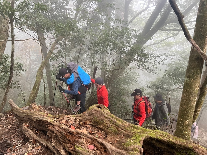 女子登屋我尾山摔傷 中市消防局協助送醫