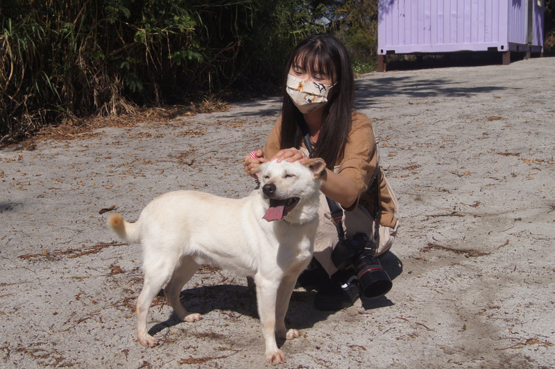 IG鏡頭記錄人狗真摯互動 彰化志工幫50隻浪浪找到家