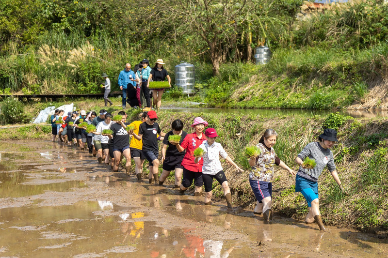兩廳院聯手雲門青銀共創 以「薪傳」溝通對話