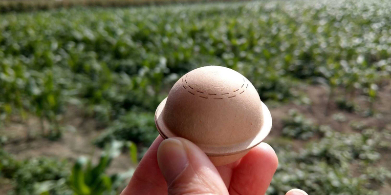 除害蟲省工新招 無人機投放寄生蜂球效率強6倍