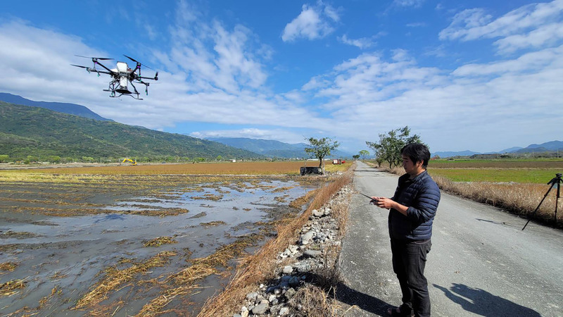 花蓮農改場助農友以無人機播種蕎麥 增產又省工