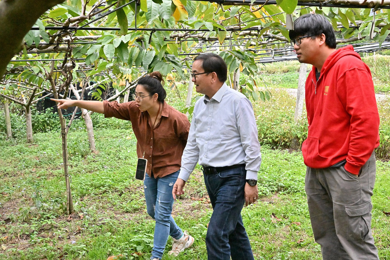 228連假何處去 台東辦釋迦探險趣園遊會