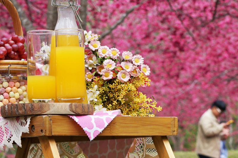 高鐵推國旅聯票出遊 車票限時75折優惠