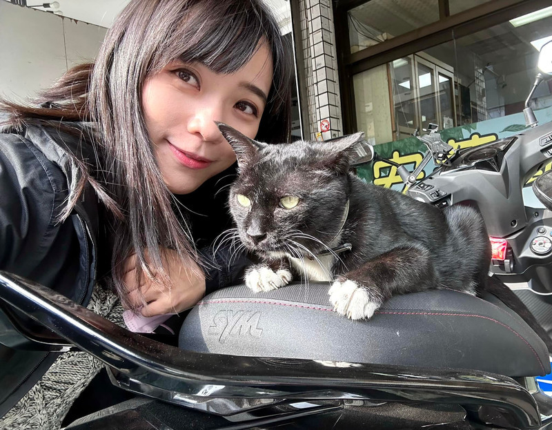 鼓勵飼主替犬貓結紮 高市提高節育補助