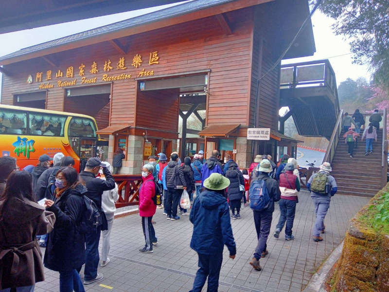 228連假阿里山遊客多 台18線路肩成停車場