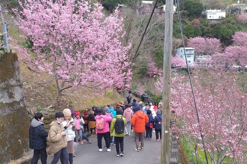 桃園大溪老街等6景區亮擁擠紅燈 警實施人車管制