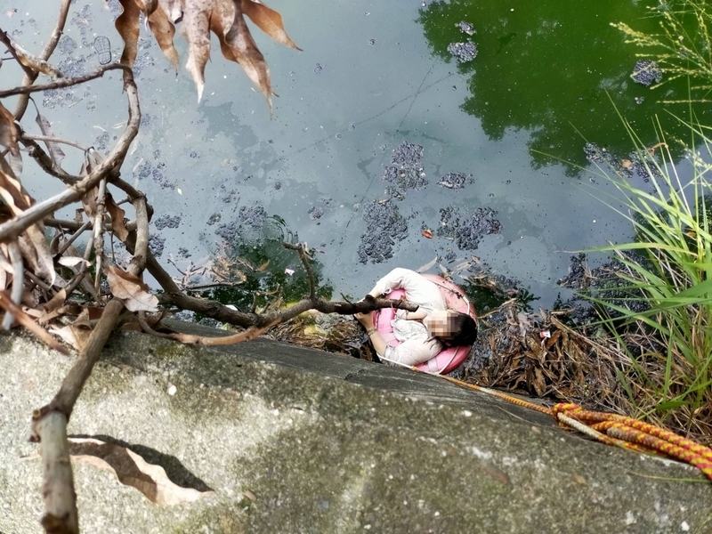 婦人摘芒果跌落排水溝獲救 岸邊設救生圈架立大功