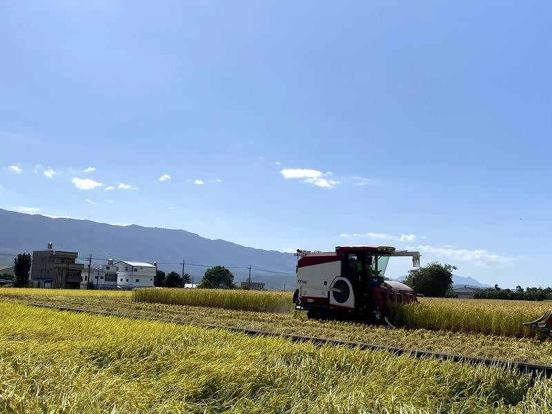 頻現38度高溫 花縣府籲務農避開上午10時到下午2時