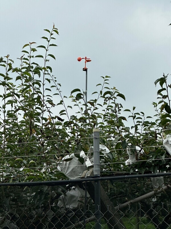 電圍網防獼猴危害農作 高市桃源區18日辦說明會