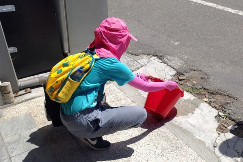 台南新增19例登革熱 籲確診5天內防蚊叮咬