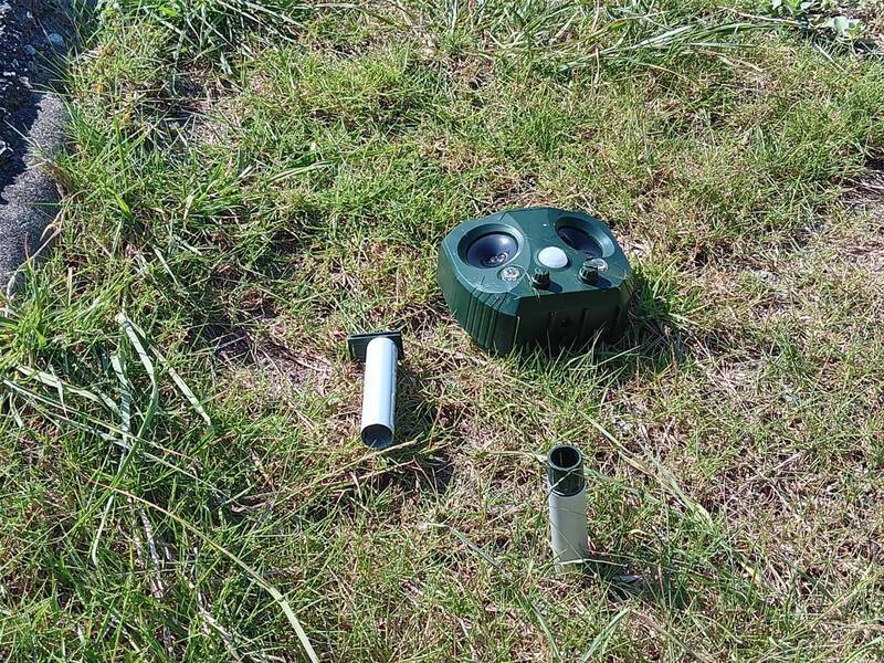 花蓮七星潭流浪犬熱區 驅趕器遭破壞縣府報警查辦