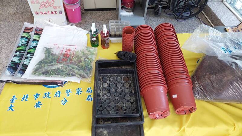 男子網購大麻種子植栽兜售 北市警逮人查扣93株