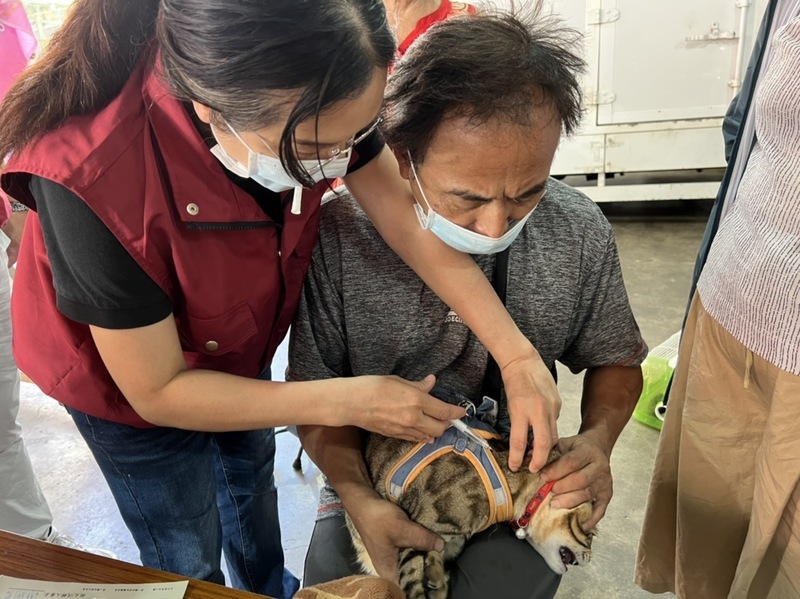 憂愛貓打狂犬疫苗長瘤 新北動保處：諮詢獸醫降風險