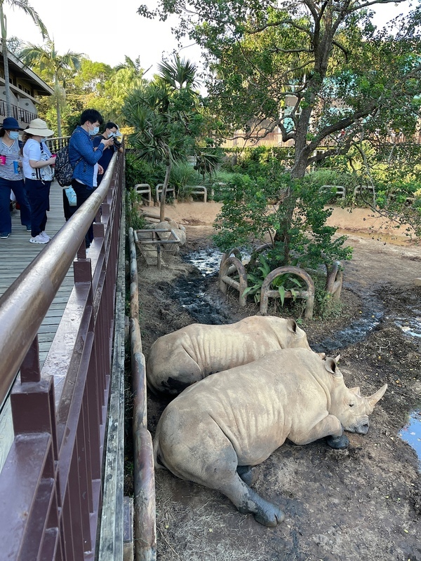六福村評鑑71.66分獲良級 動團：為良級最低分