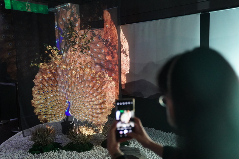 故宮沉浸數位展 邀人走進郎世寧宇宙