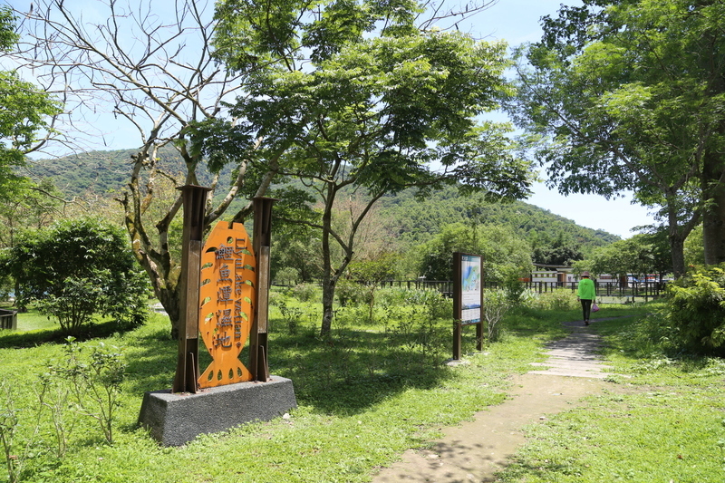 花蓮鯉魚潭聲光秀吸睛 生活污水卻讓潭水失色待處理