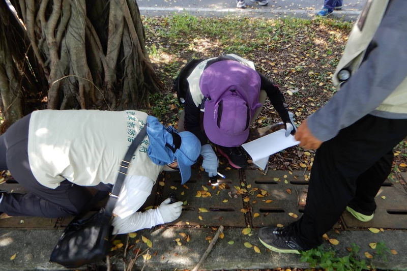 台南新增15例本土登革熱 永康兵仔市場列重點