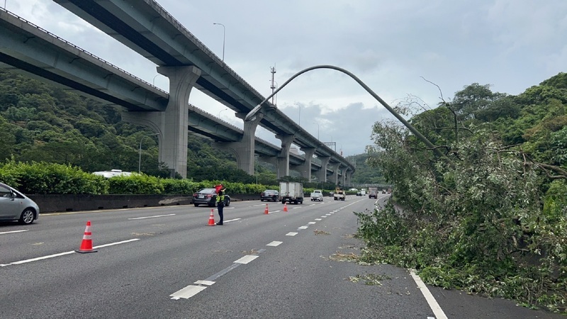國1北向林口段樹倒路燈垮一度回堵 疑風雨大釀禍