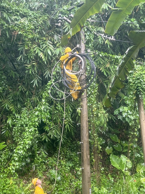 颱風杜蘇芮來襲全台逾3千戶仍停電 台電搶修中