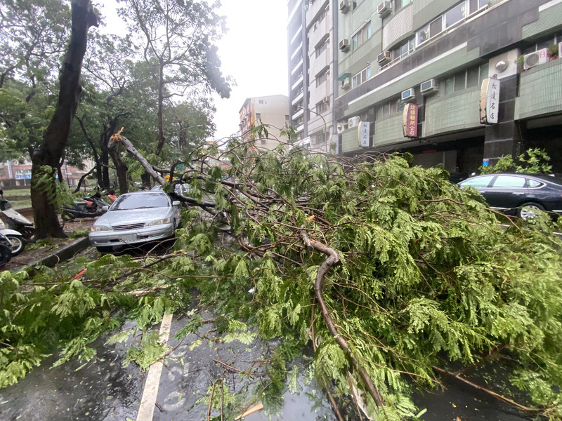 杜蘇芮來襲 高雄逾4萬戶停電、259棵路樹傾倒
