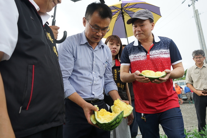 視察花蓮西瓜田災損 陳吉仲：加速公告現金救助