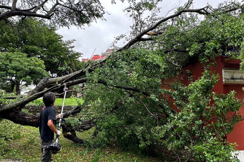 颱風杜蘇芮吹倒大樹 台南五妃廟屋脊受損
