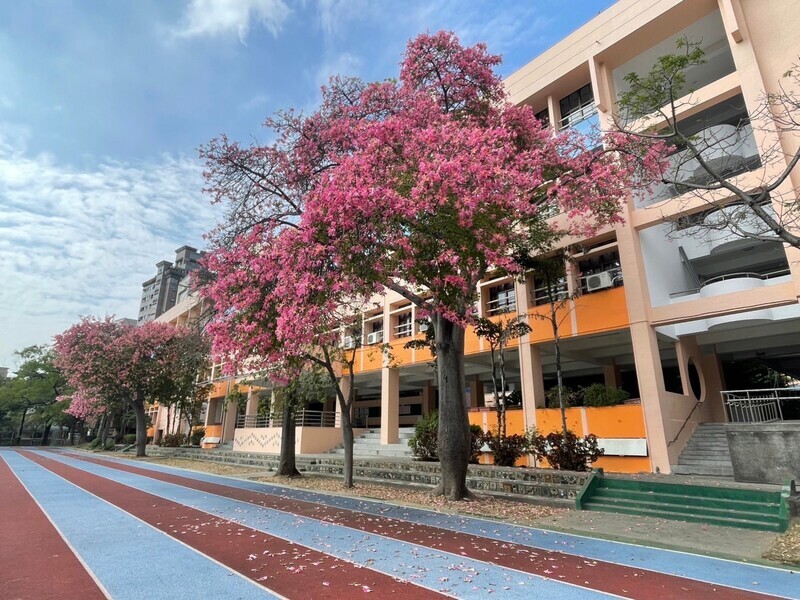 教育部補助18校4173萬元 修繕校園牆面護安全